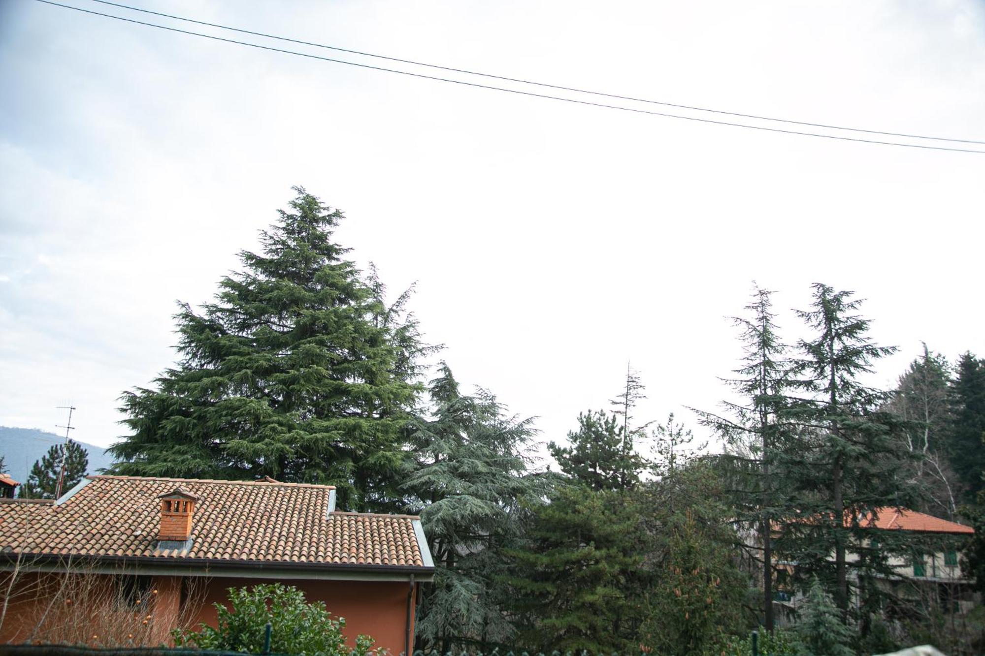 Ferienwohnung Casa Di Beppe Citta Alta Bergamo Exterior foto